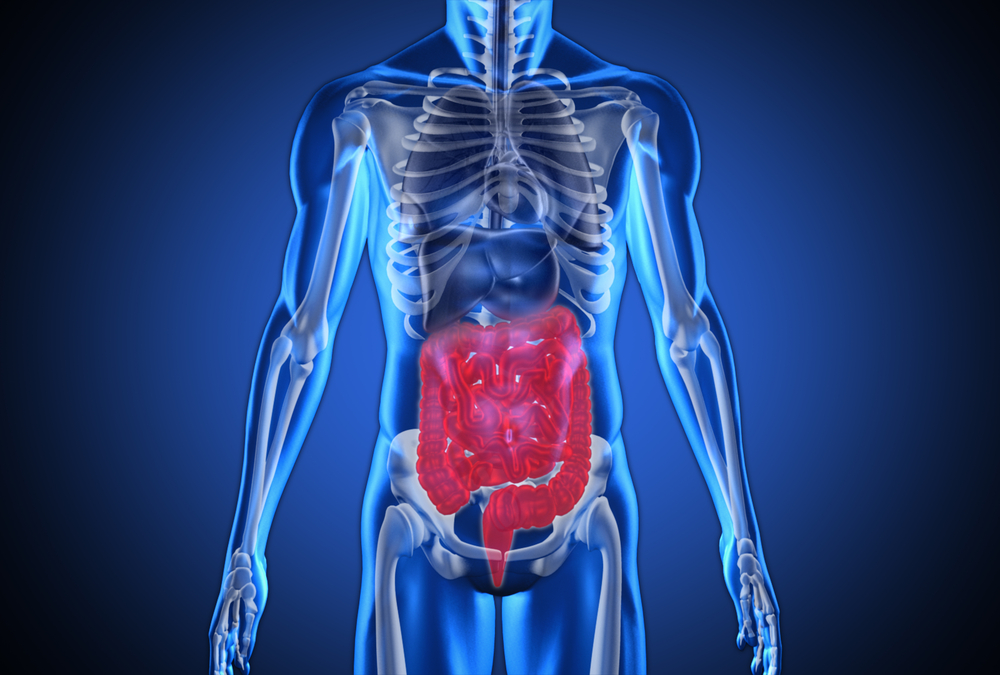Digital blue human with highlighted digestive system on blue background-1